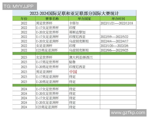 足球世界杯赛事运营管理及安全保障